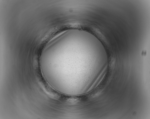 X0000111040213200907091617