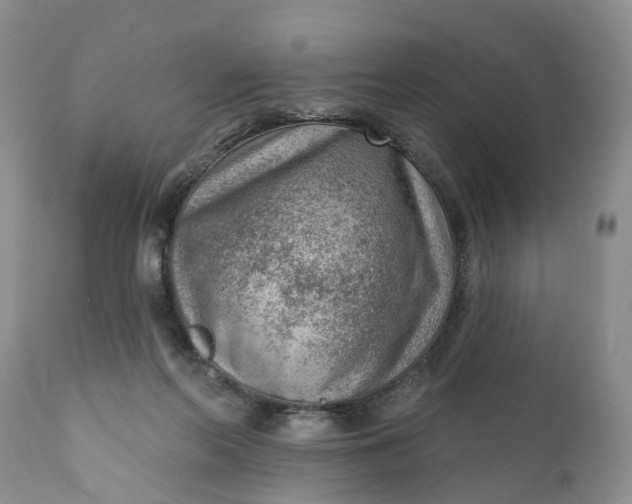 X0000111040214200907091617