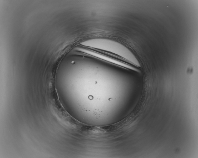 X0000111040215200907091617