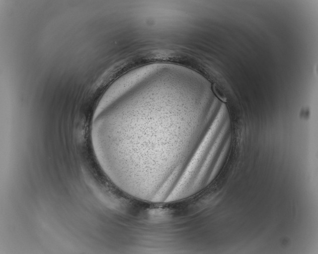 X0000111040216200907091617