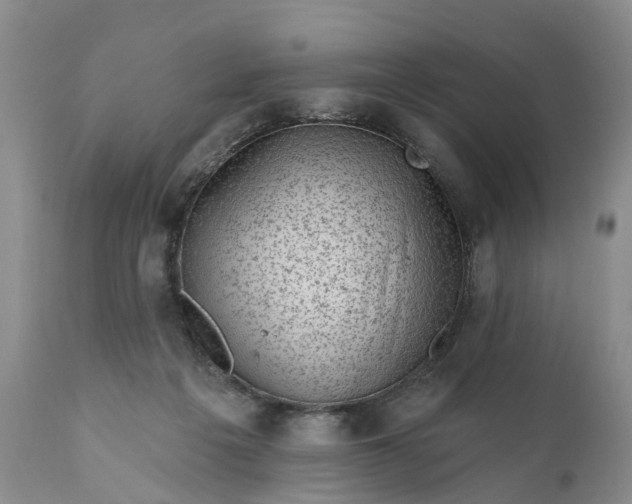 X0000111040217200907091617