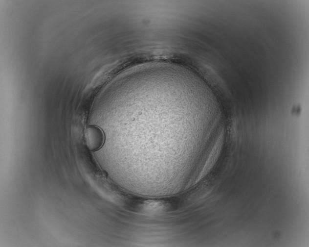 X0000111040218200907091617