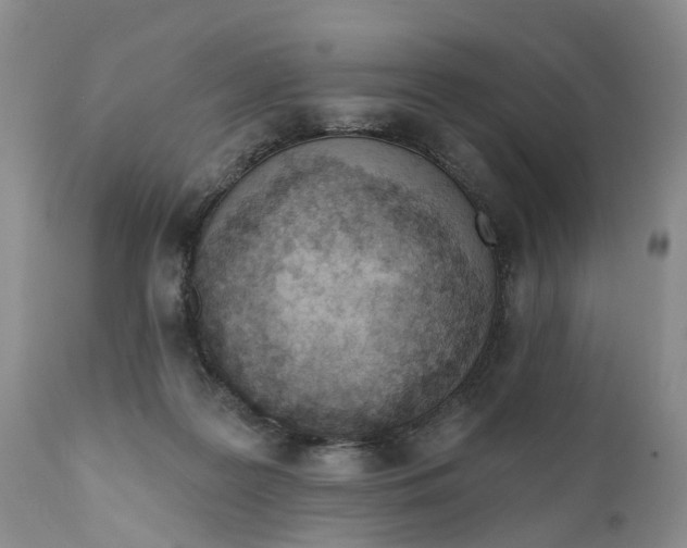 X0000111040219200907091617