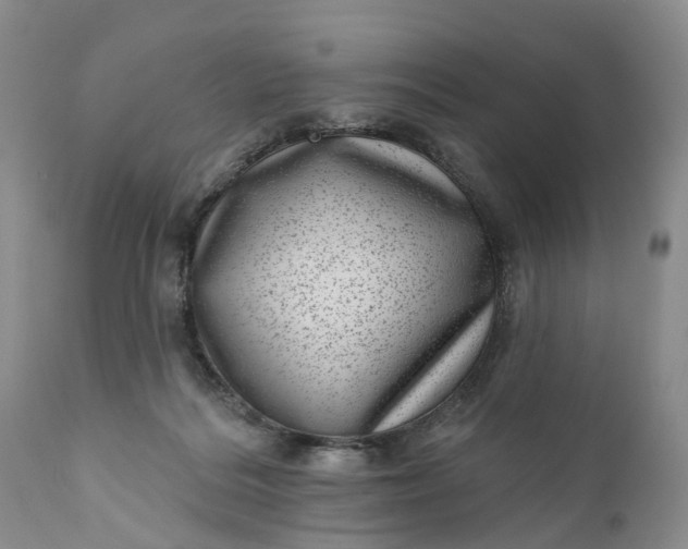 X0000111040220200907091617