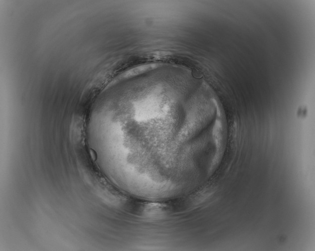 X0000111040222200907091617