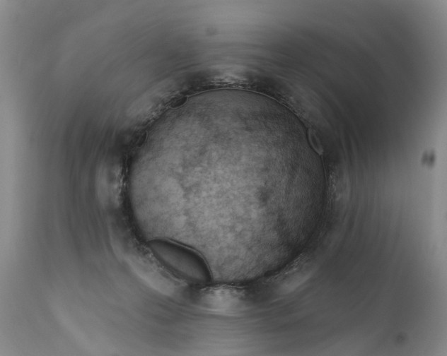 X0000111040223200907091617