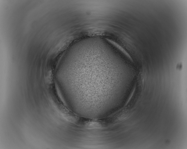 X0000111040224200907091617