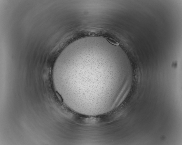 X0000111040225200907091617