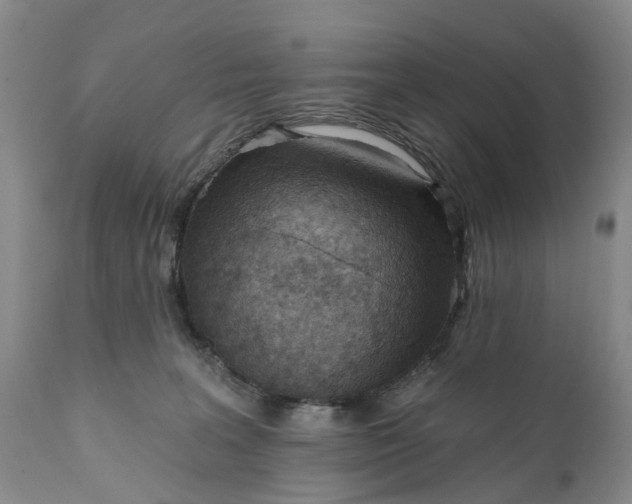 X0000111040227200907091617