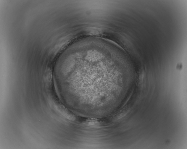 X0000111040228200907091617