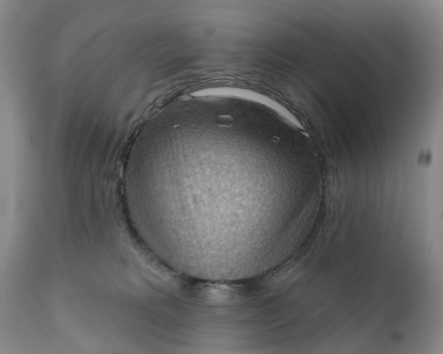 X0000111040229200907091617