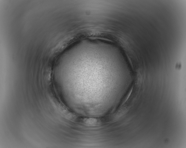 X0000111040230200907091617