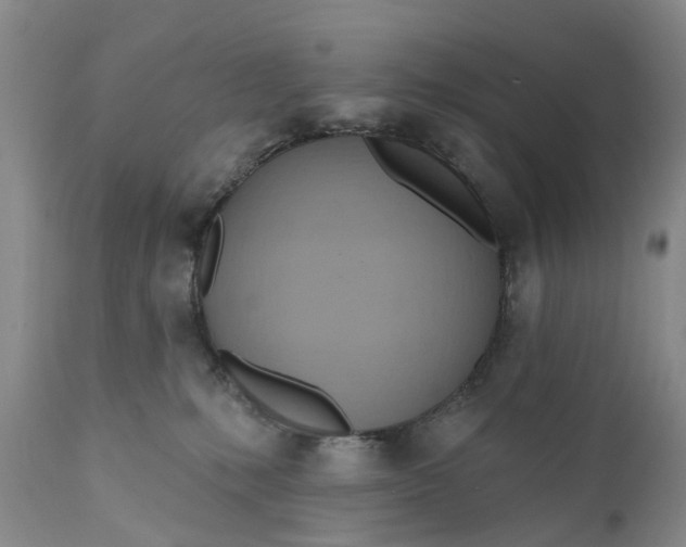 X0000111040231200907091617