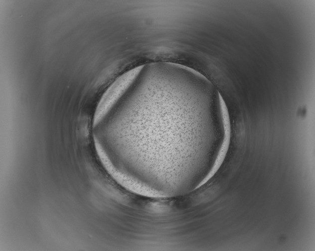 X0000111040232200907091617