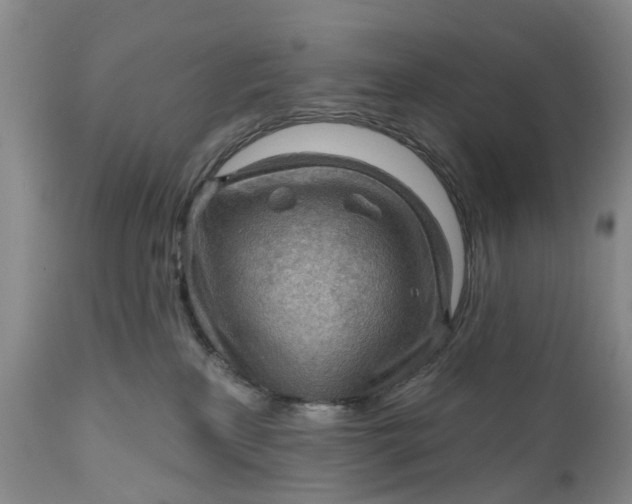 X0000111040233200907091617