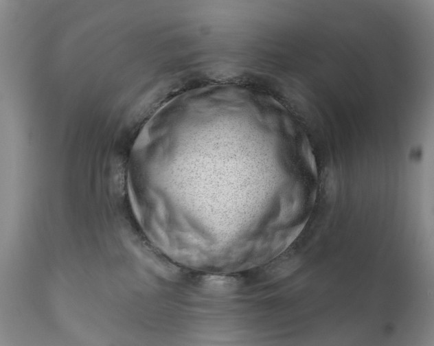 X0000111040234200907091617