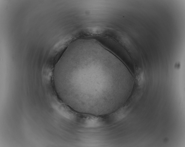 X0000111040235200907091617