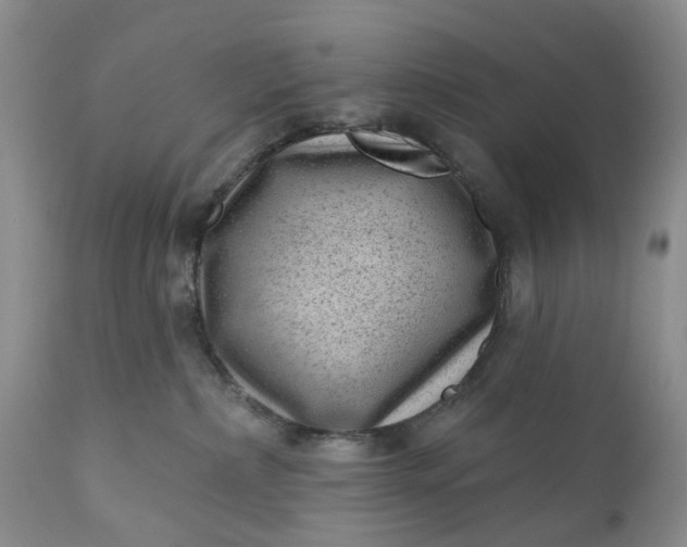 X0000111040236200907091617