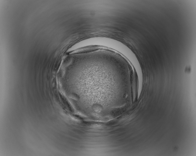 X0000111040237200907091617