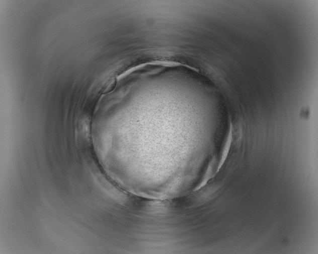 X0000111040238200907091617