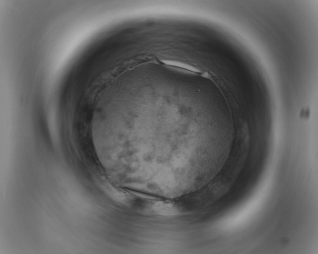 X0000111040239200907091617