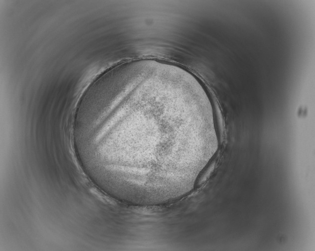 X0000111040241200907091616