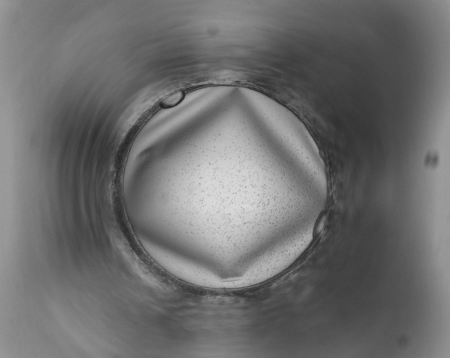 X0000111040242200907091616