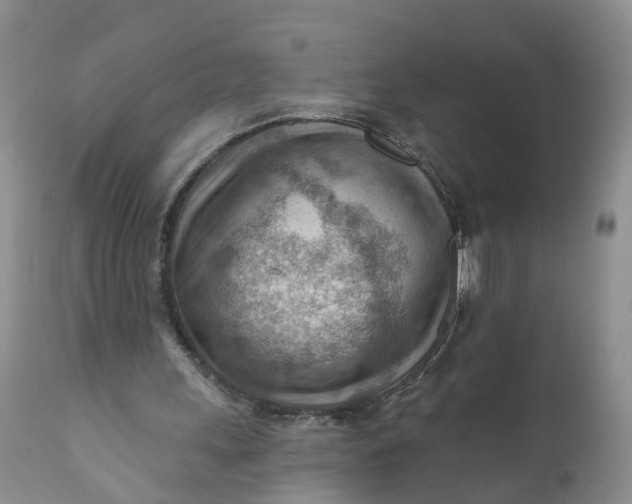 X0000111040243200907091616