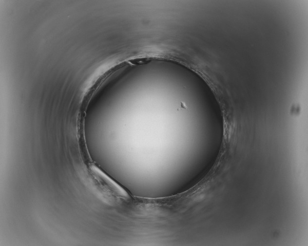 X0000111040244200907091616