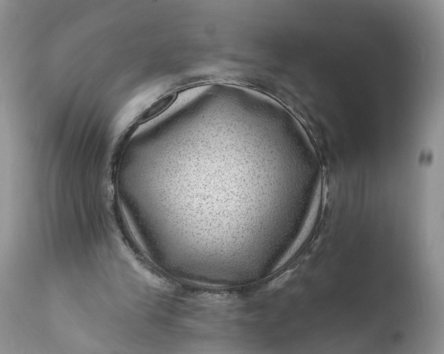 X0000111040245200907091616