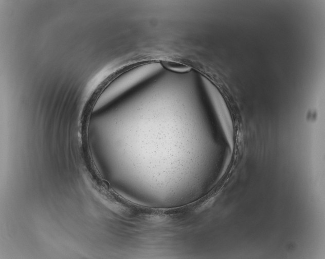 X0000111040246200907091616