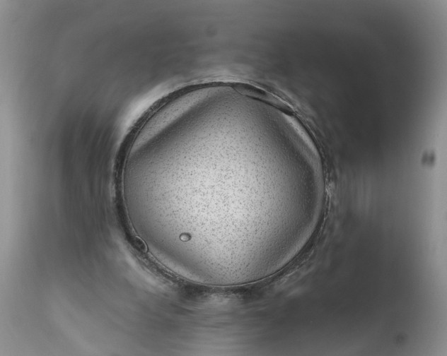 X0000111040248200907091616