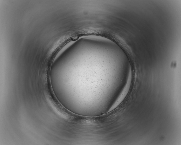 X0000111040250200907091616