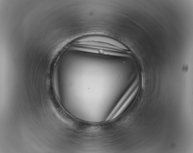 X0000111040252200907091616