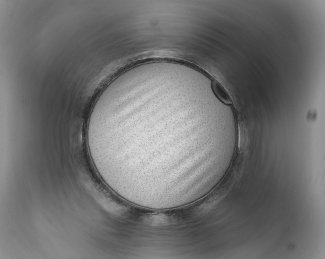 X0000111040253200907091616