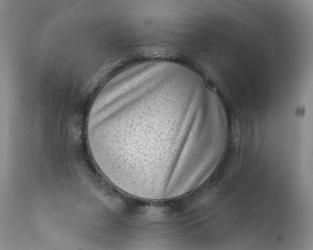 X0000111040255200907091616