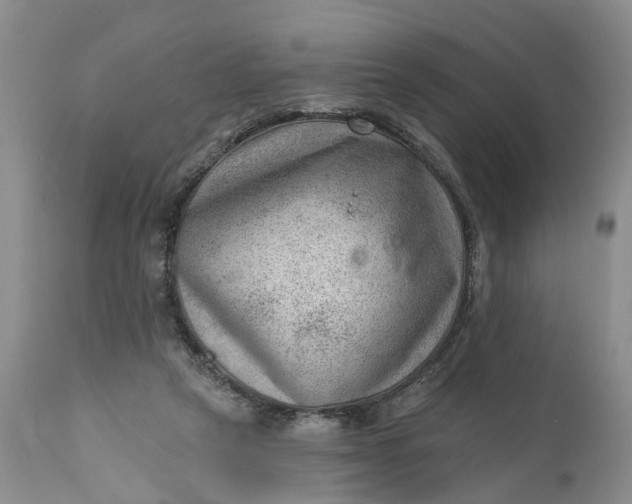 X0000111040257200907091616