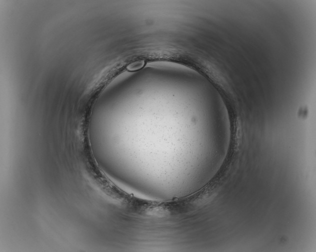 X0000111040258200907091616