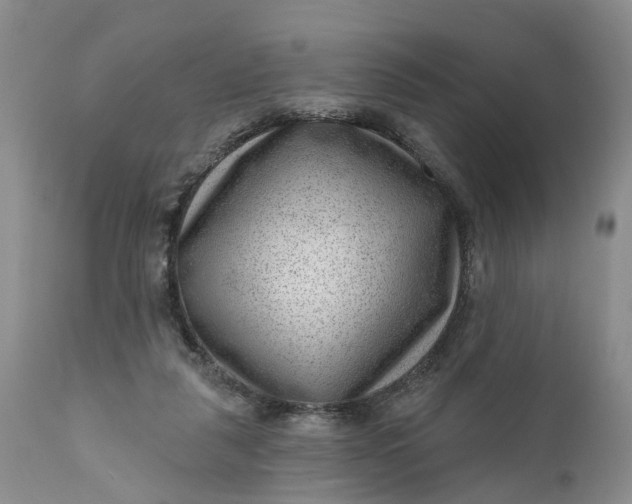 X0000111040259200907091616