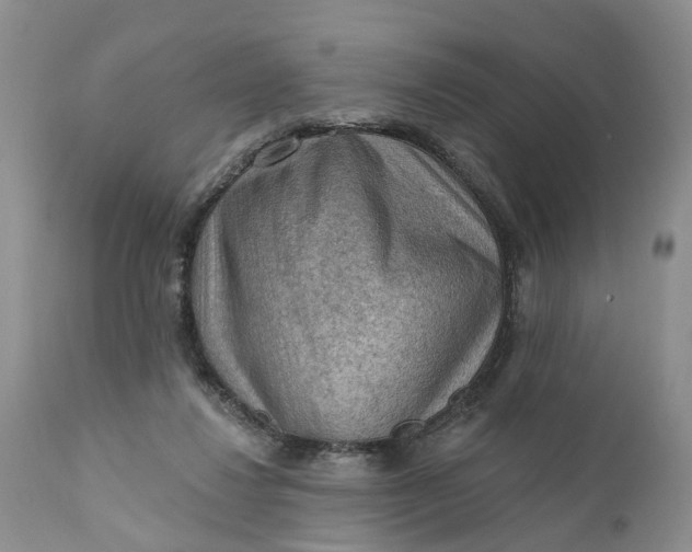 X0000111040260200907091616