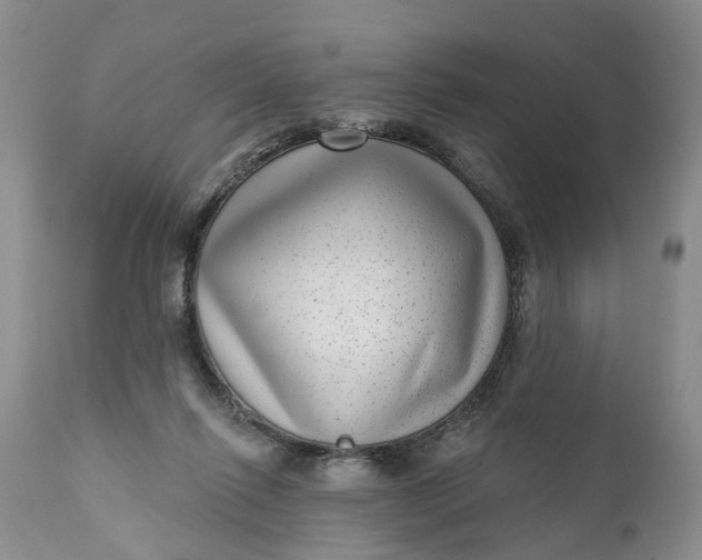 X0000111040262200907091616