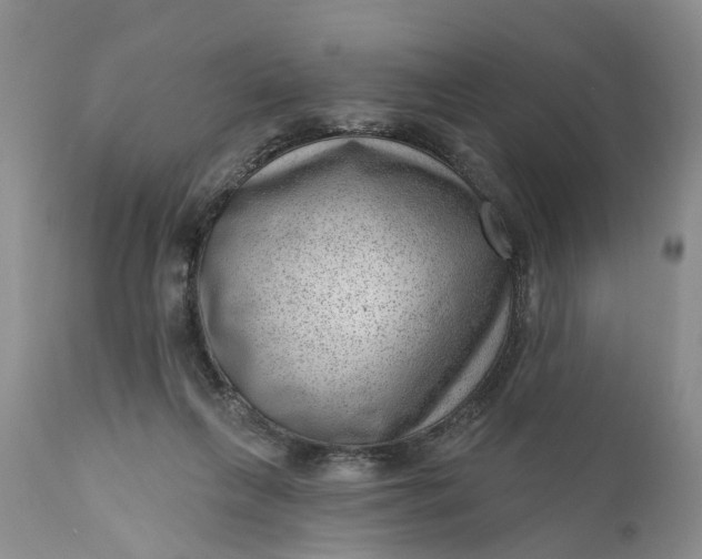 X0000111040263200907091616