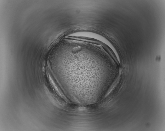 X0000111040264200907091616