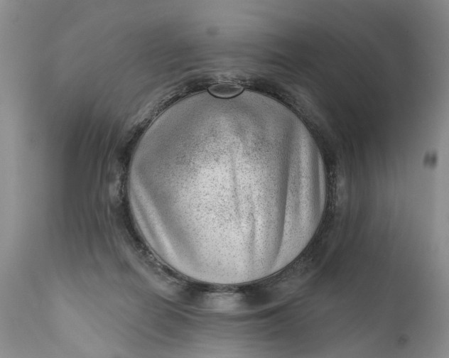 X0000111040266200907091616