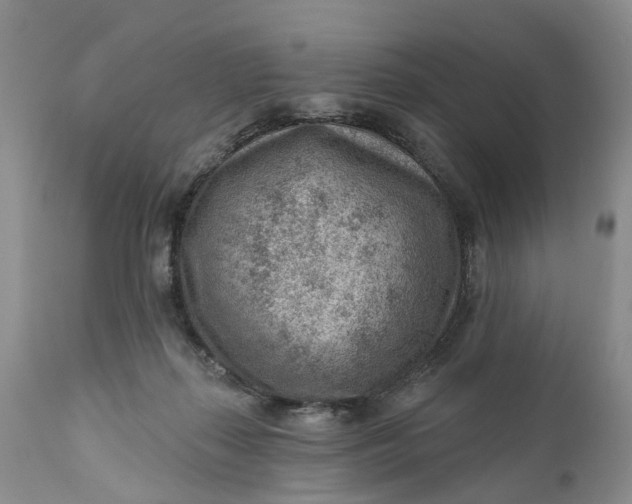 X0000111040267200907091616