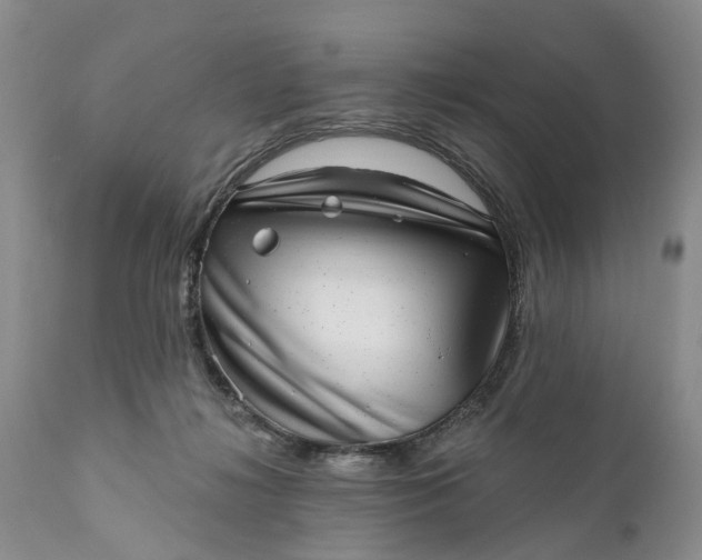 X0000111040268200907091616