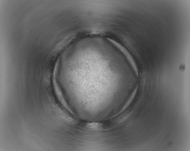 X0000111040269200907091616