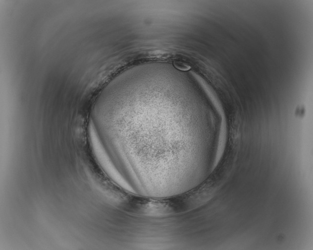 X0000111040270200907091616