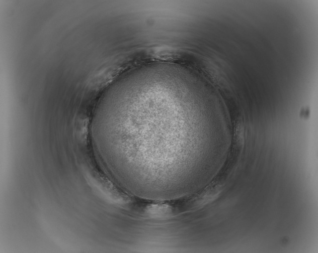 X0000111040271200907091616