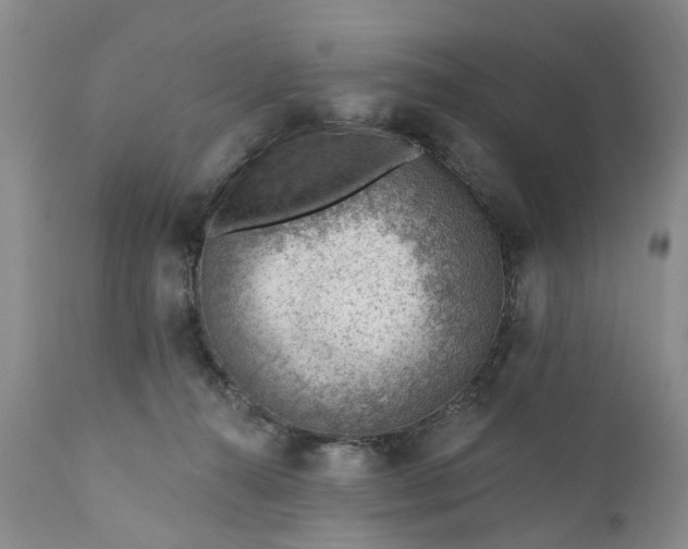 X0000111040272200907091616